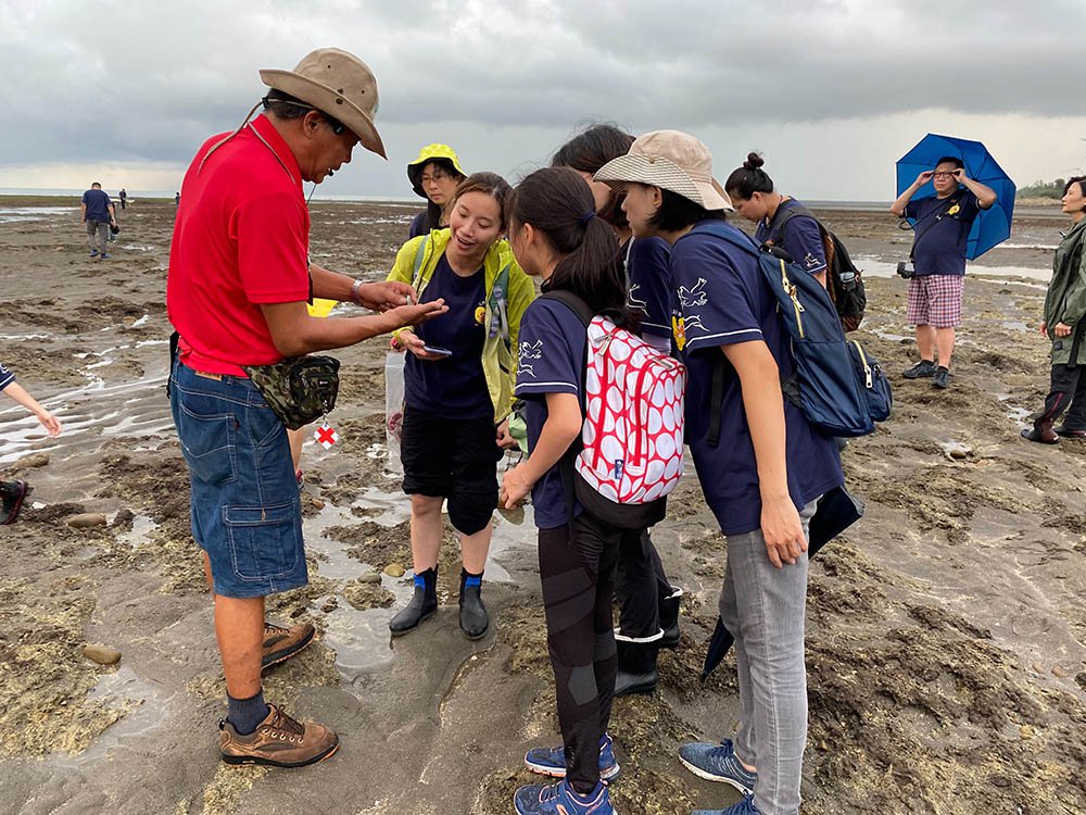 「千年之戀」環境教育課程，由永興社區環境教育人員帶領大家認識藻礁生物